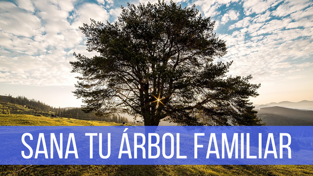 Tu árbol transgeneracional